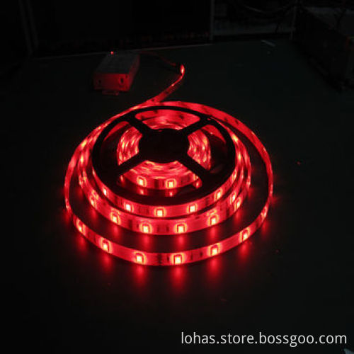 Flexible LED Strips, SMD3014, White, 10-12lm/LED, 60-LEDs/m, Stable Performance,insulation